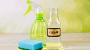 The Remarkable Versatility of Vinegar - AEG Cleaning Service 