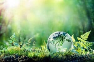 reduce your carbon footprint - AEG Cleaning Service