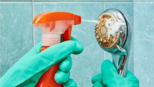 Clean Your Showerhead - AEG Cleaning Service