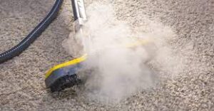 Carpet Cleaning with hot Water -AEG Cleaning Service