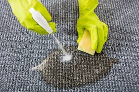 How to Get Pee Smell Out of Carpet -AEG Cleaning Sevice 