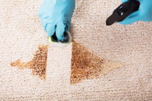 how to get puke out of carpet