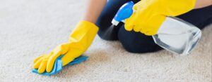 How to Get Paint Out of Carpet - AEG Cleaning Service