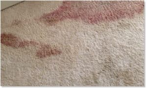Blood Out of Carpet